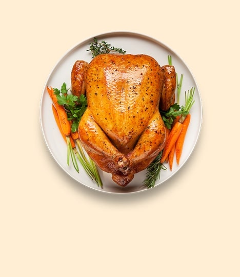 گوشت بوقلمون